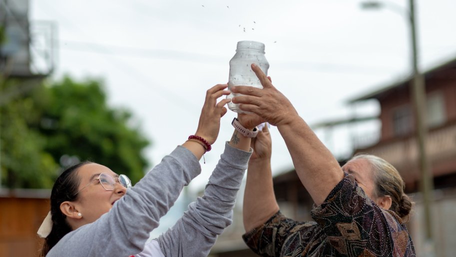 Teresa Arteaga, qui réside dans le quartier de Canaán, participe à la libération de moustiques porteurs de Wolbachia aux côtés de Lorena Rodriguez, superviseure de la promotion de la santé pour MSF.