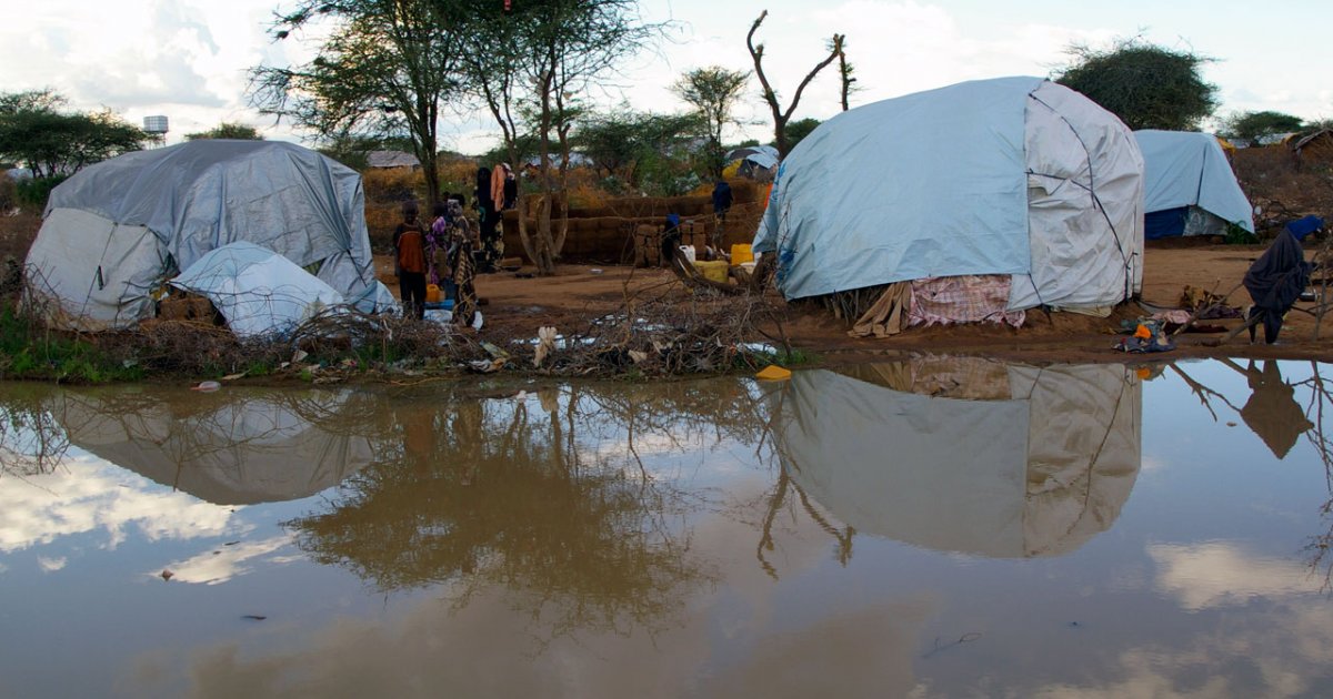  Kenya  Somalie Les r fugi s somaliens des camps surpeupl s 