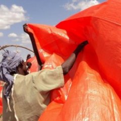 Inondations à Belet Weyne : MSF soutient la population déplacée, Somalie, 2010
