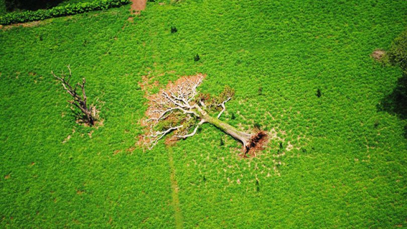 Dégâts infligés par la tempête tropicale Agatha, Guatemala, 2010